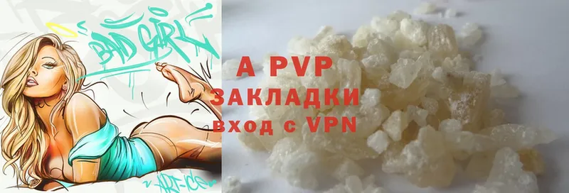 Alfa_PVP СК КРИС  Каневская 